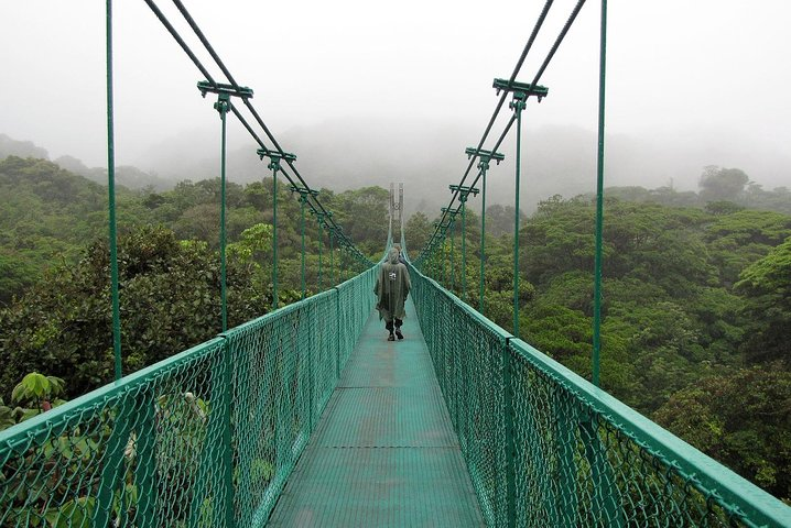 Hanging bridges